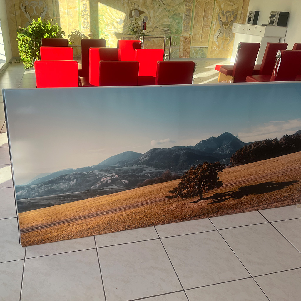 Panoramatický obraz na plátne zachytáva borovicu a Veľký Choč.